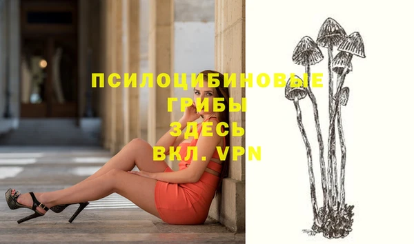 бошки Новокубанск