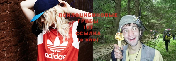 бошки Новокубанск