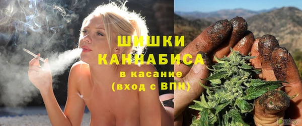 прущие крисы Новодвинск