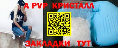 спайс Малгобек