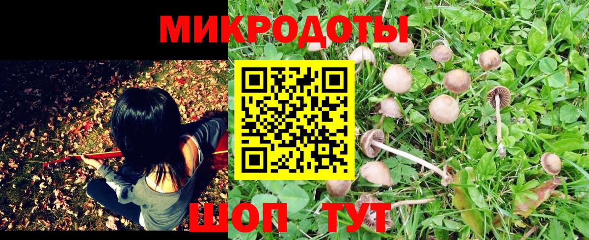 Псилоцибиновые грибы Cubensis  Вход с VPN  как найти   Южноуральск 